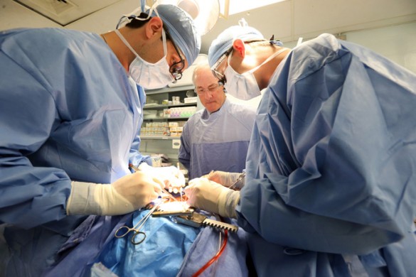 Jonathan Nesbitt, M.D., center, observes while cardiothoracic surgery fellows Michael Archer, D.O., left, and John Evans, M.D., practice putting a heart on cardiopulmonary bypass in a simulation lab. (photo by Steve Green)