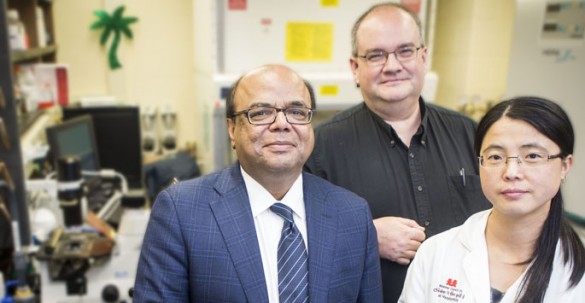 Rizwan Hamid, M.D., Ph.D., left, James West, Ph.D., Ling Yan, Ph.D., and colleagues are studying bone marrow cells’ role in pulmonary arterial hypertension. (photo by Susan Urmy) photos by Susan Urmy