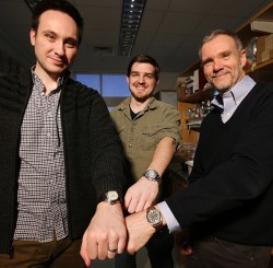 three researchers
