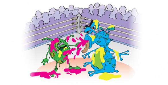 cartoon bacteria fight club