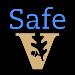 SafeVU logo