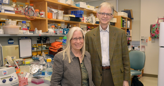 Anna Means, PhD, R. Daniel Beauchamp, MD, and colleagues are studying a group of proteins that are essential to the growth of colorectal cancer tumors.