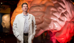New faculty: David Sweatt studies how brain chemistry affects learning and memory