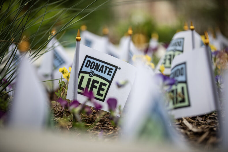 Flags were set up on the plaza for Vanderbilt University Medical Center’s Donate Life event. (photo by Erin O. Smith)
