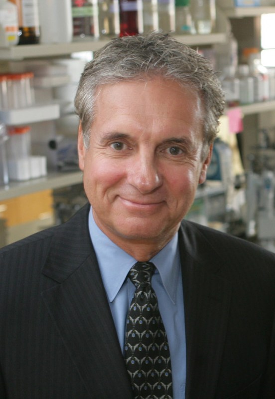 Stephen Fesik, Ph.D.