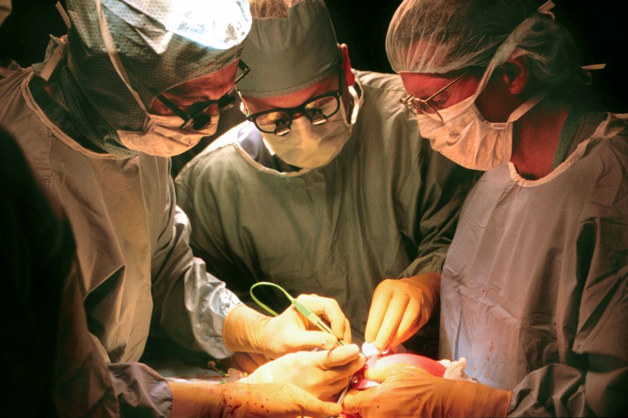 From left, Noel Tulipan, M.D., Kyle Mangels, M.D., and Joseph Bruner, M.D., perform surgery on a fetus with spina bifida at Vanderbilt University Medical Center in 1998. (file photo: Anne Rayner)