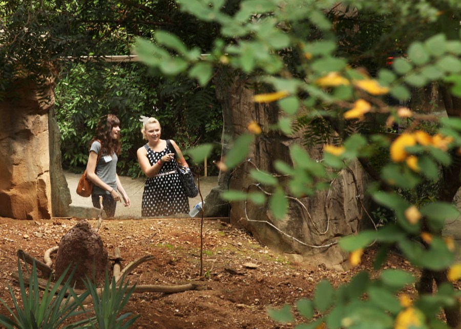 Elizabeith Deel, left, and Tyne Miller walk the grounds of the Nashville Zoo. (photo by Susan Urmy)