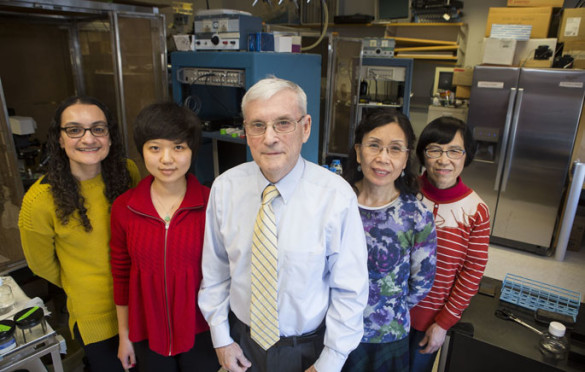 Robert Macdonald, M.D., Ph.D., and colleagues, from left, Ciria Hernandez, M.D., Ph.D., Dingding Shen, Ningning Hu and Wangzhen Shen have uncovered new genetic clues to a severe form of childhood epilepsy. (photo by Susan Urmy)