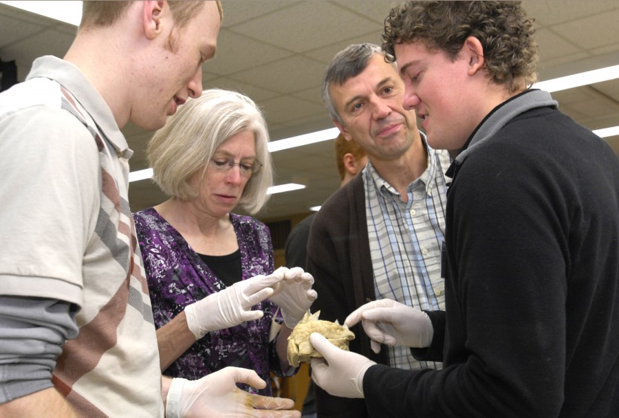 Examining a human heart are, from left, first-year medical student Troy Hutchens, his mother, Lynn Wenig, Jerry Metcalf, and his son, first-year medical student Jason Metcalf. (photo by Anne Rayner)