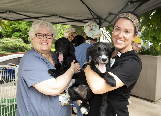Jacki Ashburn, RN, and Stephanie Walton, Nutrition Services, hold puppy while Nashville Humane Association (NHA) introduces Paws on the Plaza, an event in which the NHA will bring adoptable puppies to the VUMC Plaza. Although this is not an official adoption event, all puppies are available for adoption through NHA following the event. While NHA offers Bark Breaks throughout the Nashville/Middle Tennessee area, we are thrilled to be the first hospital to enter this partnership. Photos by: Susan Urmy