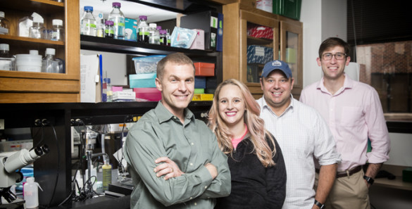 Jonathan Schoenecker, M.D., Ph.D., left, Stephanie Moore, Nicholas Mignemi, Ph.D., Courtney Baker and colleagues are studying how severe injuries and certain orthopaedic surgeries can cause muscle and other soft tissues to calcify. (photo by Joe Howell)