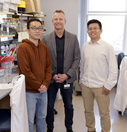 Rong Sun, PhD, left, Eric Skaar, PhD, MPH, and Qiangjun Zhou, PhD, discovered that the pathogen C. diff produces iron storage spheres, which could be targets for a new class of antibacterial drug. (photo by Donn Jones)