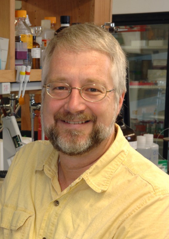 Michael Stone, Ph.D.