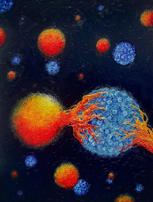 T cells (orange) engage with cancer cells (blue). Halle Borowski, an artist and senior at the College of William and Mary, worked with Drs. Mary Philip and Jess Roetman to create this oil painting, inspired by their research, as part of the Vanderbilt Institute for Infection, Immunology, and Inflammation (VI4) Artist-in-Residence program (https://www.artlab-air.com/).