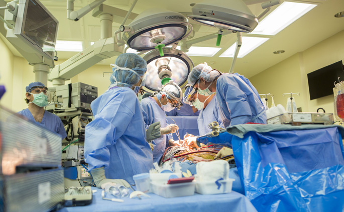 Newswise: VUMC tops in nation for number of heart transplants performed last year