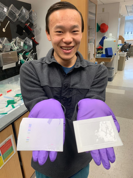 Jason Wang of Brentwood, Tennessee, in the Macara lab with a gel transfer. 