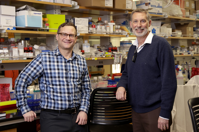 The project to create an immunotherapy that will benefit more patients is led by John Tanner Wilson, PhD, left, and Jeffrey Rathmell, PhD. (photo by Donn Jones)