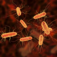 E. coli uses serine to abide acidity