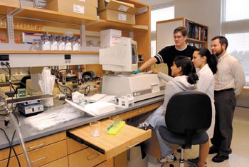 Dr. Martin Gallagher, assistant professor of Neurology, far right, assists students Sunita Misra, Dorothy Jones and David Hinkle in Dr. Robert Macdonald's lab in MRB III. (photo by Dana Johnson)