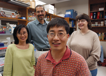 P. Charles Lin, Ph.D., (foreground), and his colleagues (from left) Li Yang, Ph.D., David P. Carbone, M.D., Ph.D., and Laura M. DeBusk were among the VUMC researchers who found a new connection between immune suppression and tumor blood vessel growth. The finding could lead to new cancer treatments. (photo by Dana Johnson)