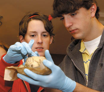 Students Kendall White and David Tudor examine a heart. This year about 150 students toured his lab and learned about heart-related issues. (photo by Dana Johnson)