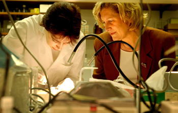 Lynn Matrisian, Ph.D., right, and research assistant Barbara Fingleton in the lab. (photo by Dana Johnson)