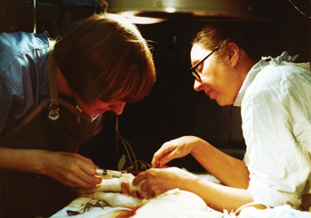 Stahlman and former fellow Doena Van der Vorm, M.D., perform a procedure on a lamb in the late 1970s. Through the study of lambs, Stahlman and her colleagues developed ways to diagnose and monitor respiratory distress in human newborns.
photo by Elizabeth Perkett, M.D.
