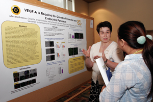 Marcela Brissova, left, and Pam Fong Cheng Pan, Ph.D., review Brissova’s poster. (photo by Kats Barry)