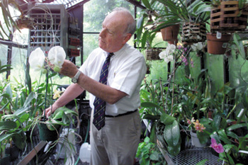 O’Neill works in his orchid greenhouse after a long day in surgery at Vanderbilt. (photo by Dana Johnson)