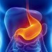Molecular ‘switch’ may illuminate stomach disorders